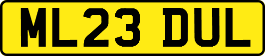 ML23DUL