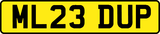 ML23DUP