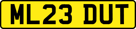 ML23DUT