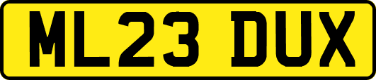 ML23DUX