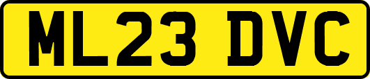 ML23DVC