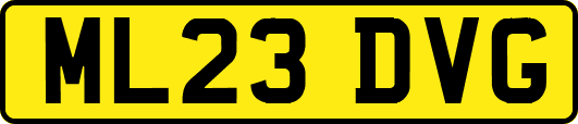 ML23DVG