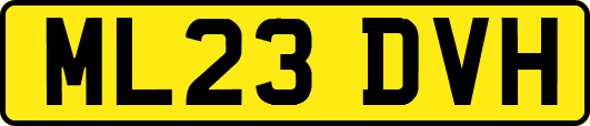 ML23DVH