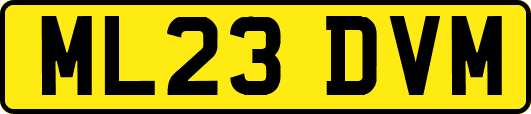 ML23DVM