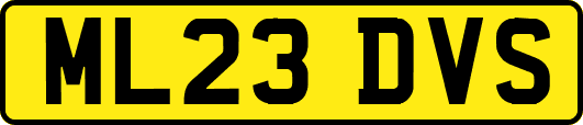 ML23DVS