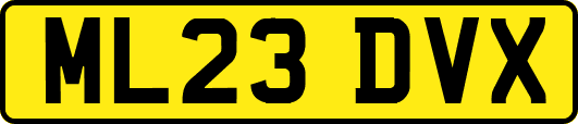ML23DVX