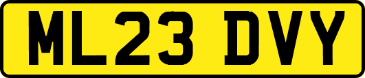 ML23DVY