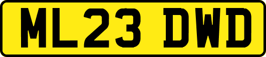 ML23DWD