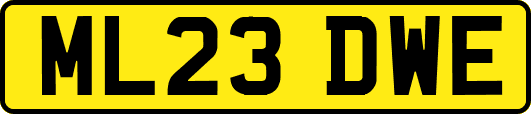 ML23DWE