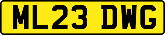 ML23DWG