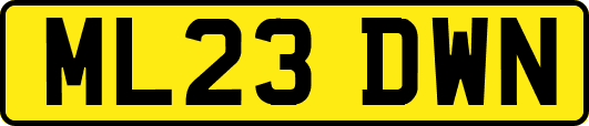 ML23DWN
