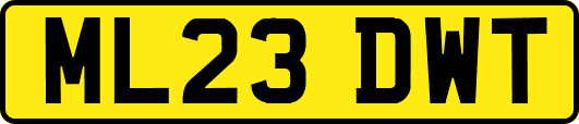 ML23DWT