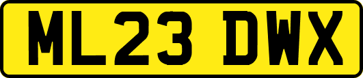 ML23DWX