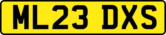 ML23DXS