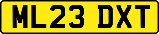 ML23DXT