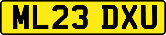 ML23DXU