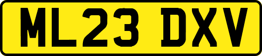 ML23DXV