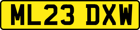 ML23DXW