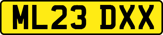 ML23DXX