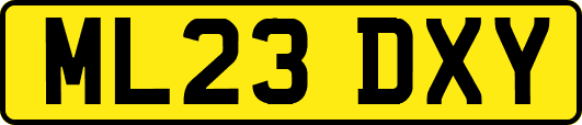 ML23DXY