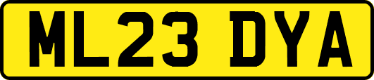 ML23DYA