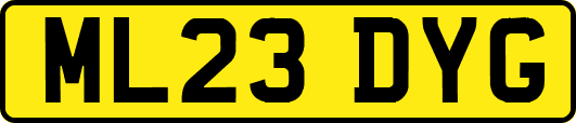 ML23DYG