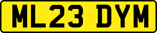ML23DYM