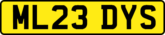 ML23DYS