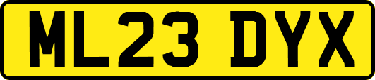 ML23DYX