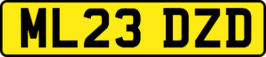 ML23DZD