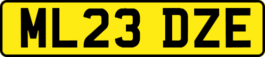 ML23DZE