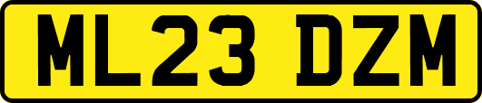 ML23DZM