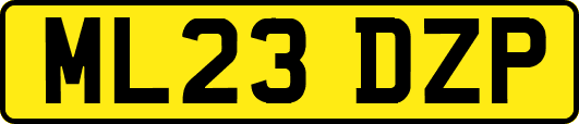 ML23DZP