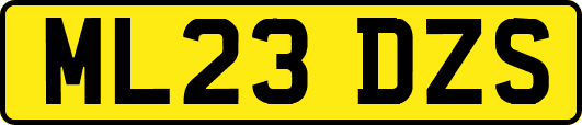 ML23DZS