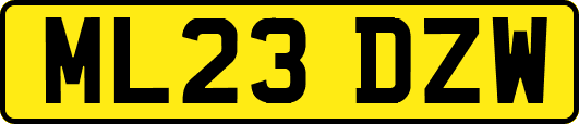 ML23DZW