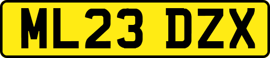 ML23DZX