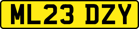 ML23DZY