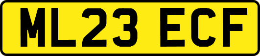 ML23ECF