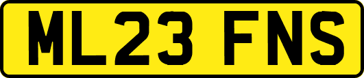 ML23FNS