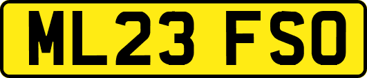 ML23FSO