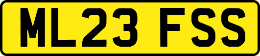 ML23FSS