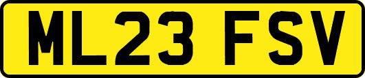 ML23FSV