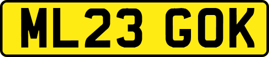 ML23GOK