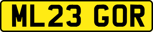 ML23GOR