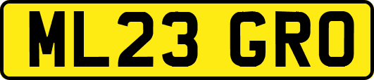 ML23GRO