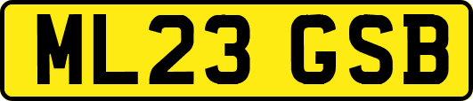 ML23GSB