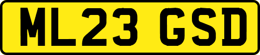 ML23GSD