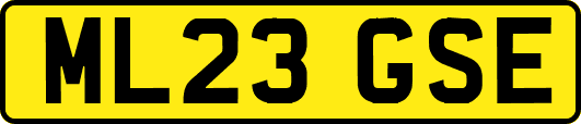 ML23GSE