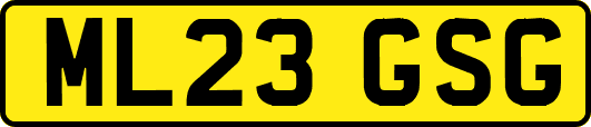 ML23GSG