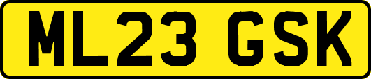 ML23GSK